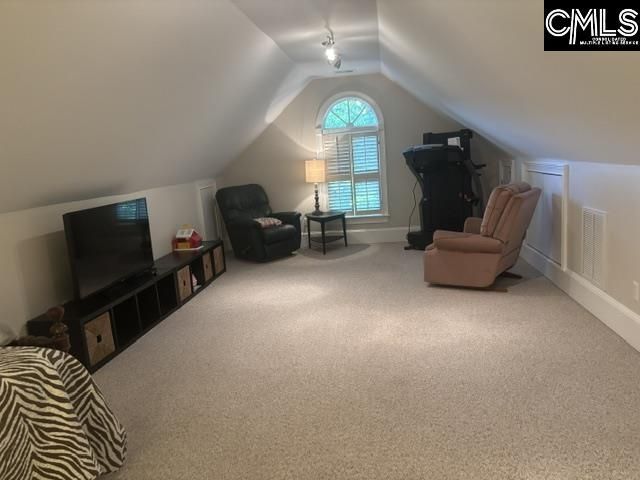 510 Carriage Lake Drive Photo 41