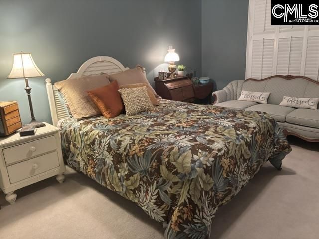 510 Carriage Lake Drive Photo 45