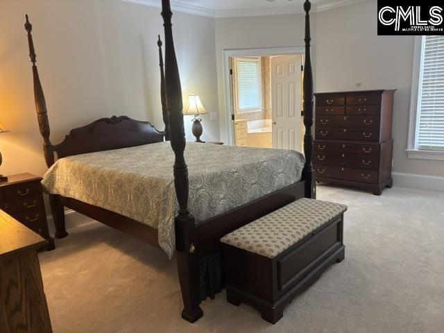 510 Carriage Lake Drive  Photo 5