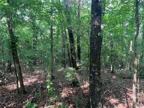 Grassy Gap Road , Harrison, AR 72601