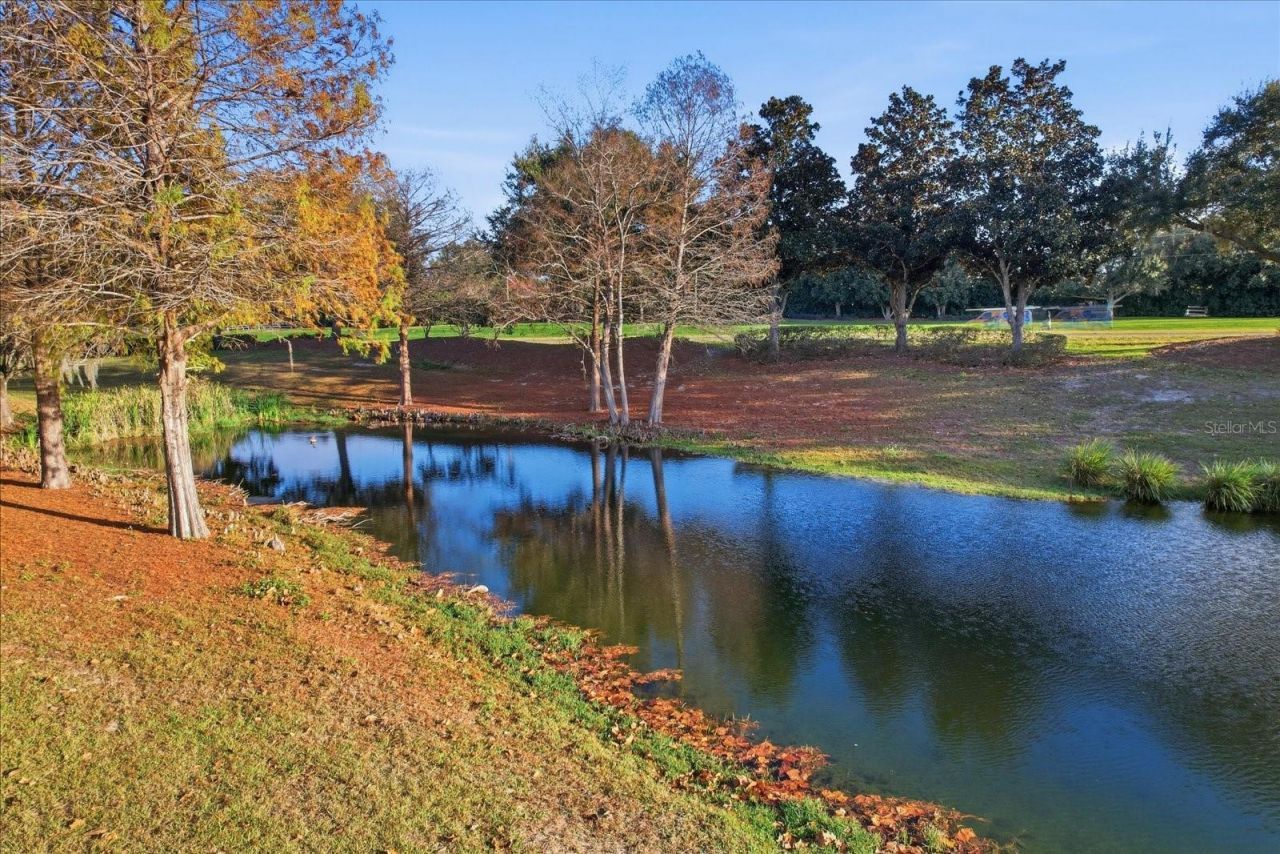 1668 W Spring Meadow Loop, Lecanto, FL 34461 Photo