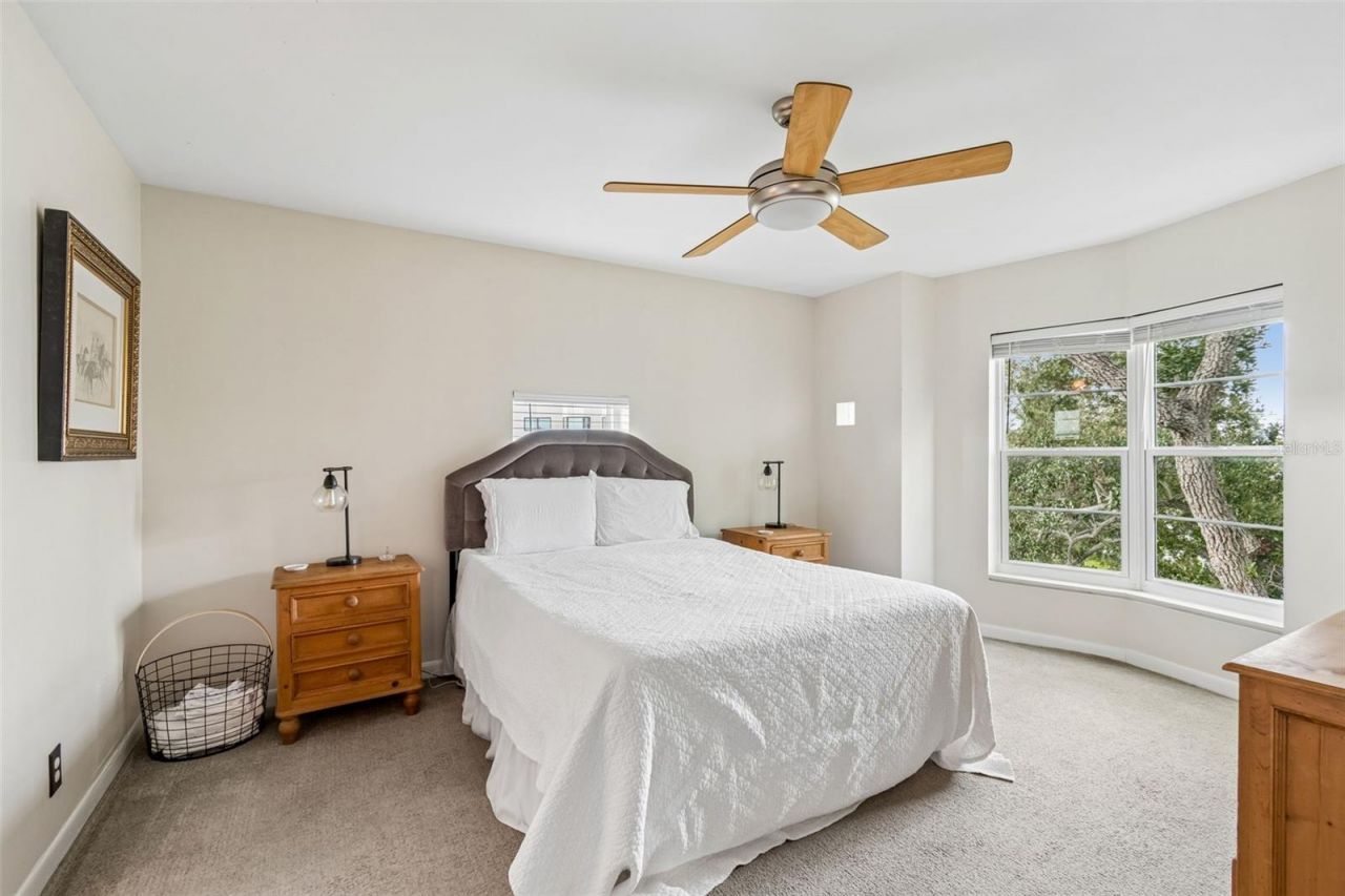 4950 Bayshore Boulevard, Unit 30, Tampa, FL 33611 Photo