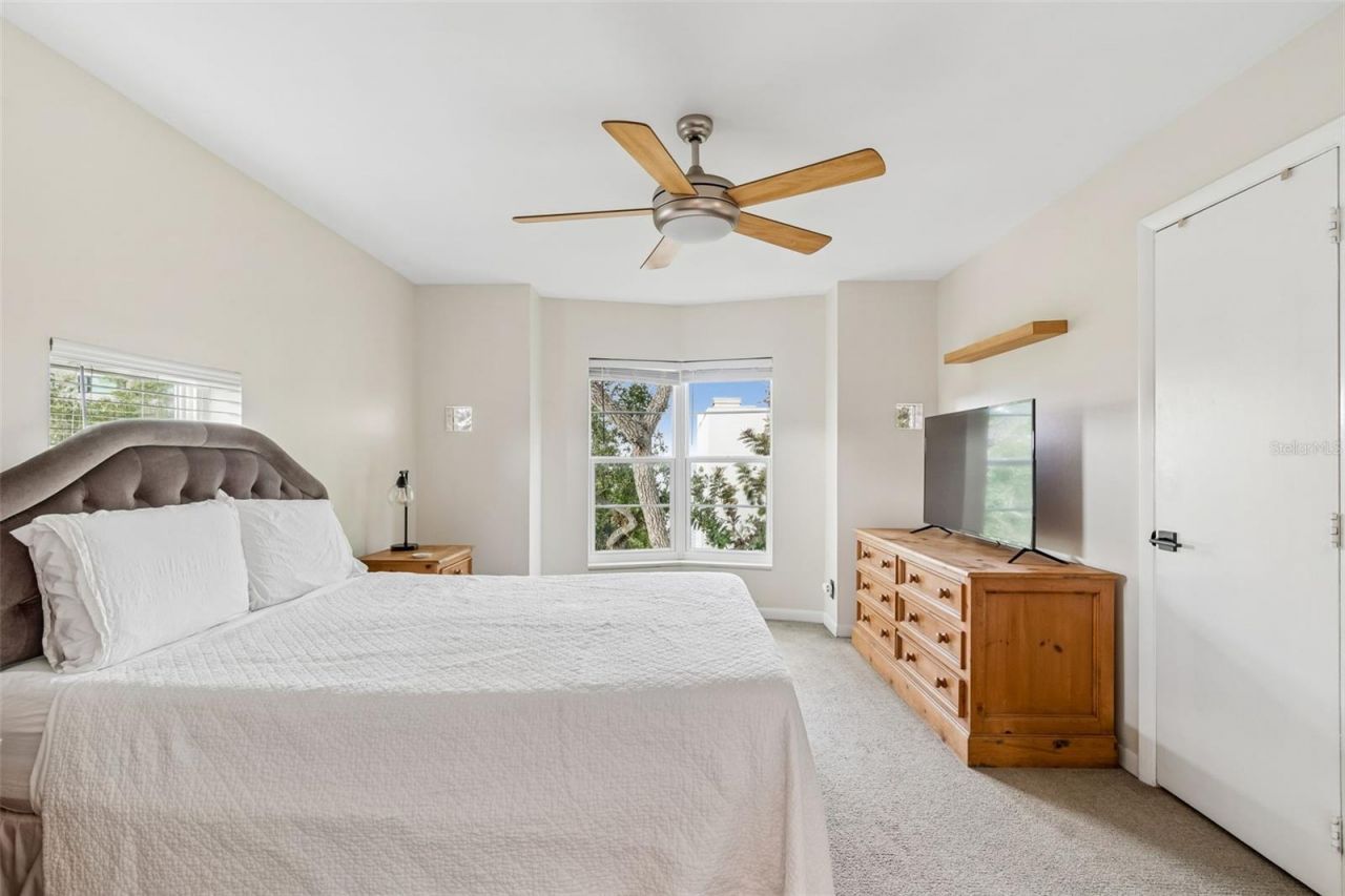 4950 Bayshore Boulevard, Unit 30, Tampa, FL 33611 Photo