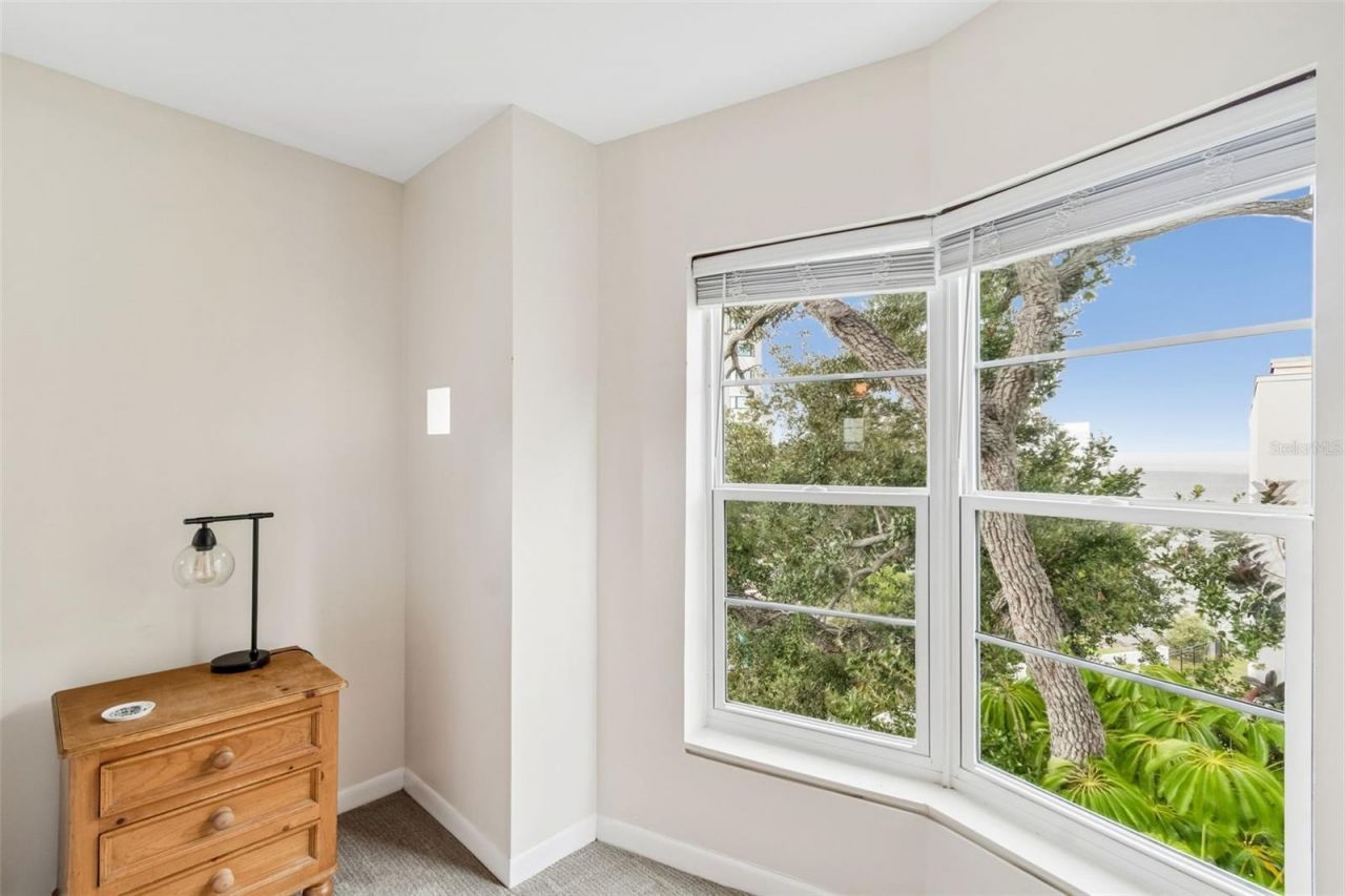 4950 Bayshore Boulevard, Unit 30, Tampa, FL 33611 Photo