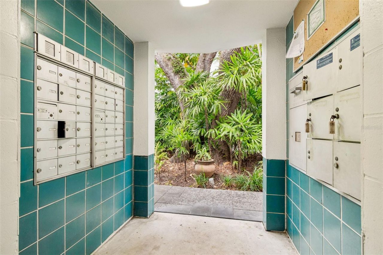 4950 Bayshore Boulevard, Unit 30, Tampa, FL 33611 Photo