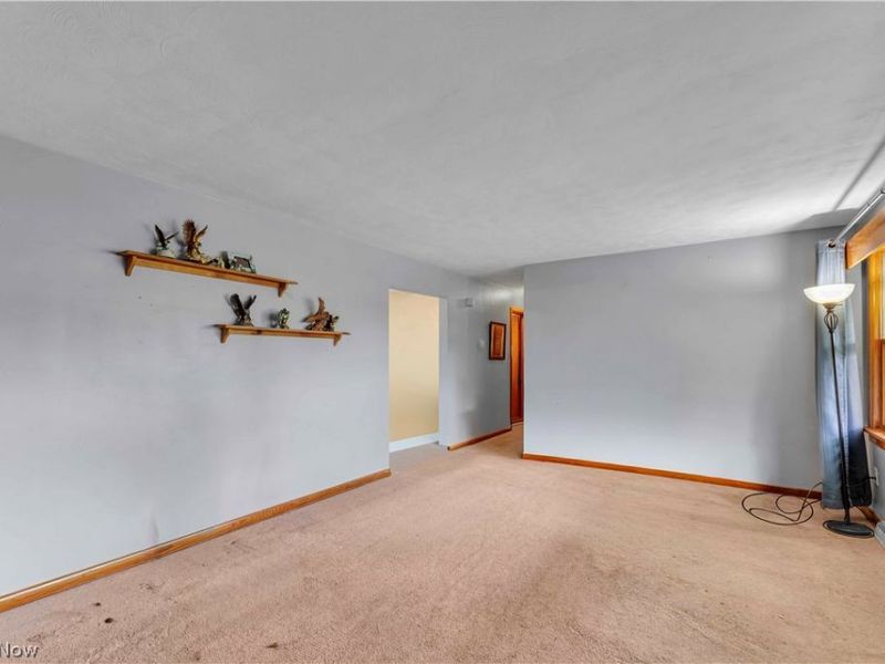 146 East Street, Wellington, OH 44090 Photo 5