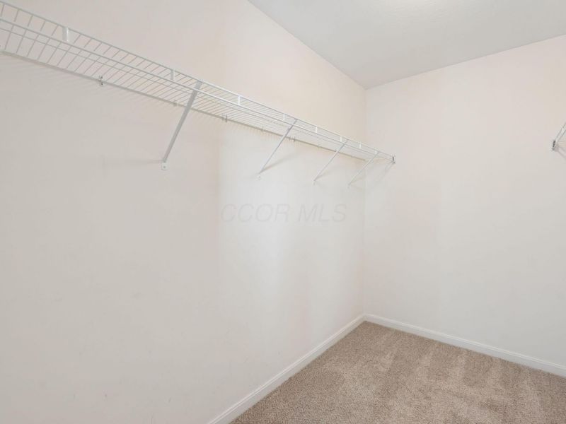 7557 Witch Hazel Drive, Canal Winchester, OH 43110 Photo 33