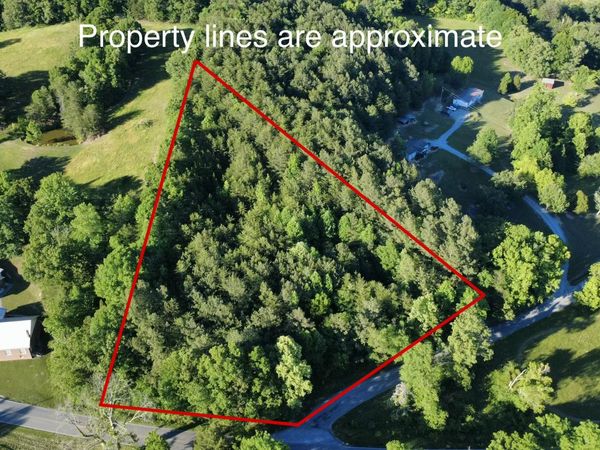 0 Cunningham Rd , Spring City, TN 37381