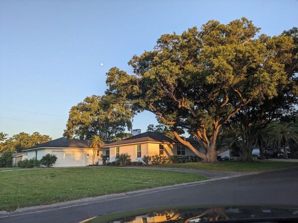 1455 FAIRWAY DRIVE , DUNEDIN, FL 34698