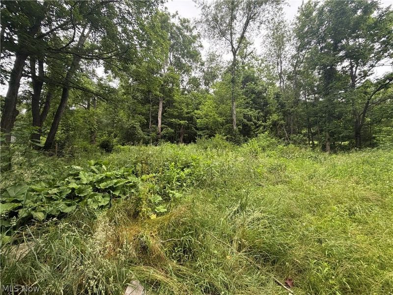 15692 Sligo Road, Kimbolton, OH 43749 Photo 28