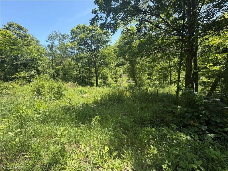 15692 Sligo Road, Kimbolton, OH 43749 Photo 5