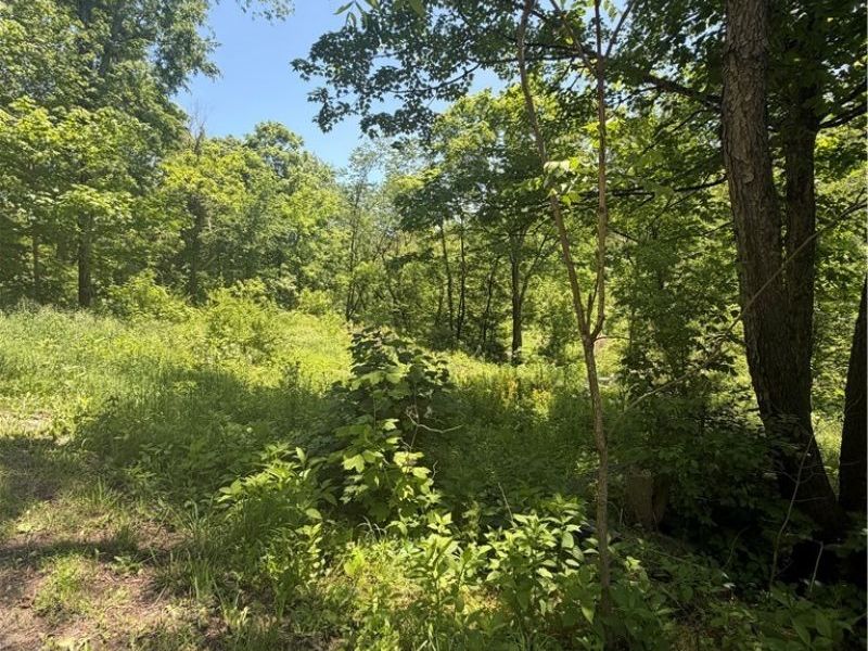 15692 Sligo Road, Kimbolton, OH 43749 Photo 6