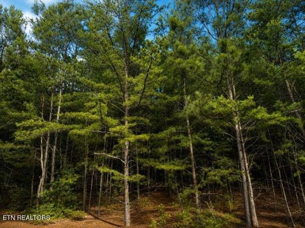 Lot 12 County Road 754, Riceville, TN 37370