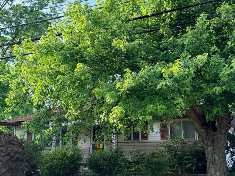 4996 Palmetto Street, Columbus, OH 43228 Photo 3