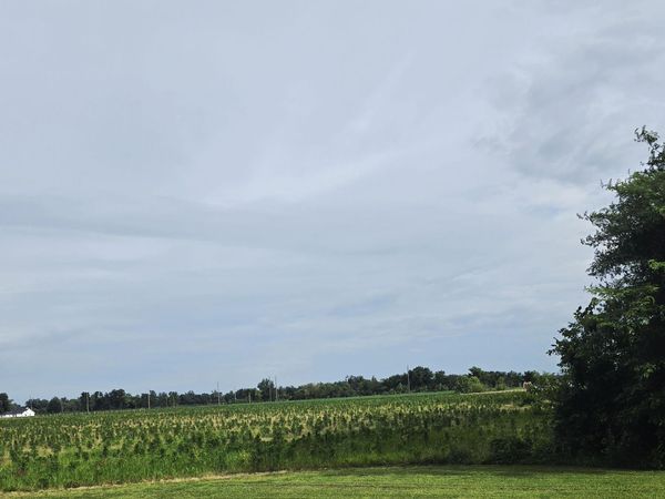 000 Neilson Road, West Frankfort, IL 62959