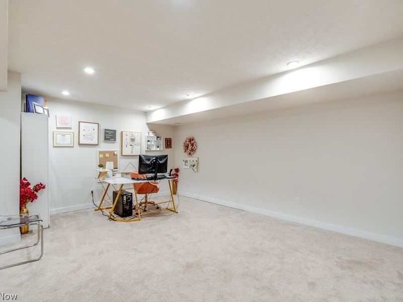 811 Robinson Drive, Lagrange, OH 44050 Photo 19