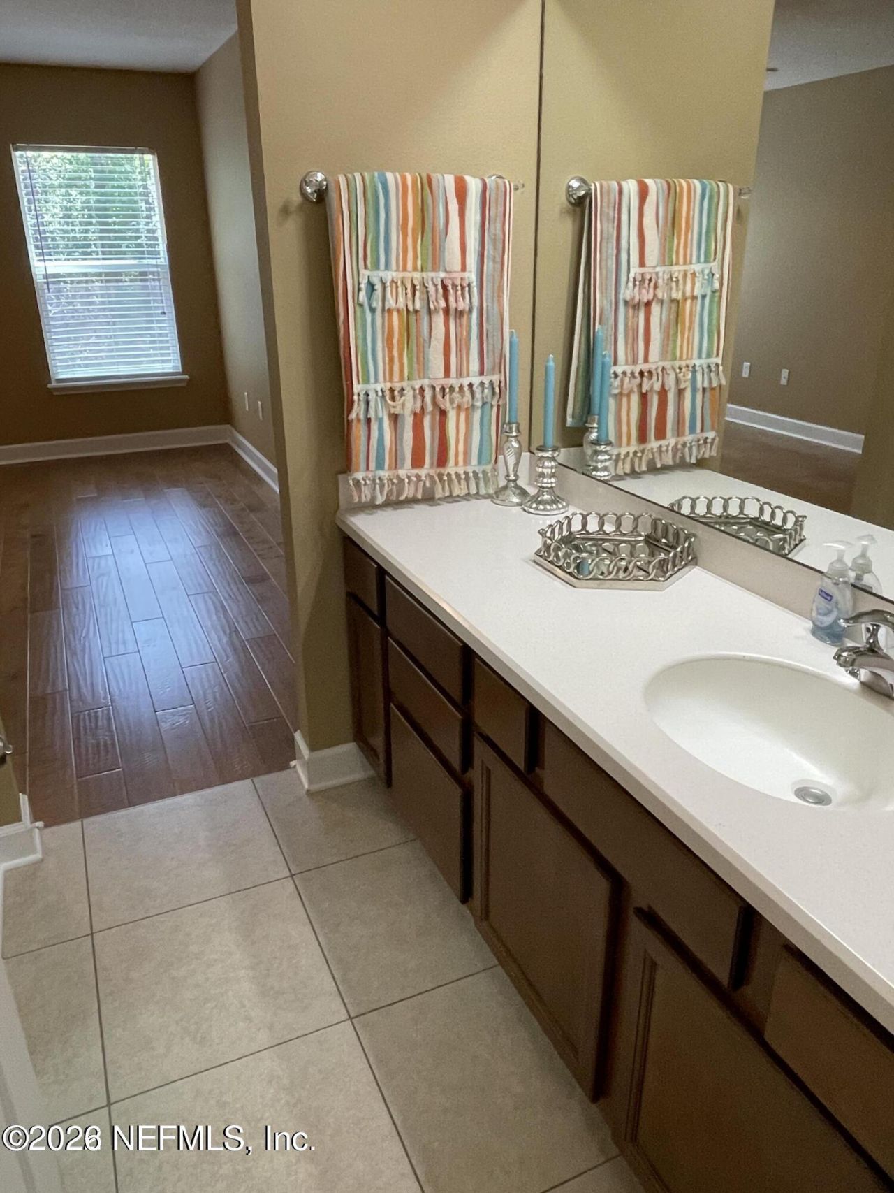 14525 Amelia Cove Drive, Jacksonville, FL 32226 Photo
