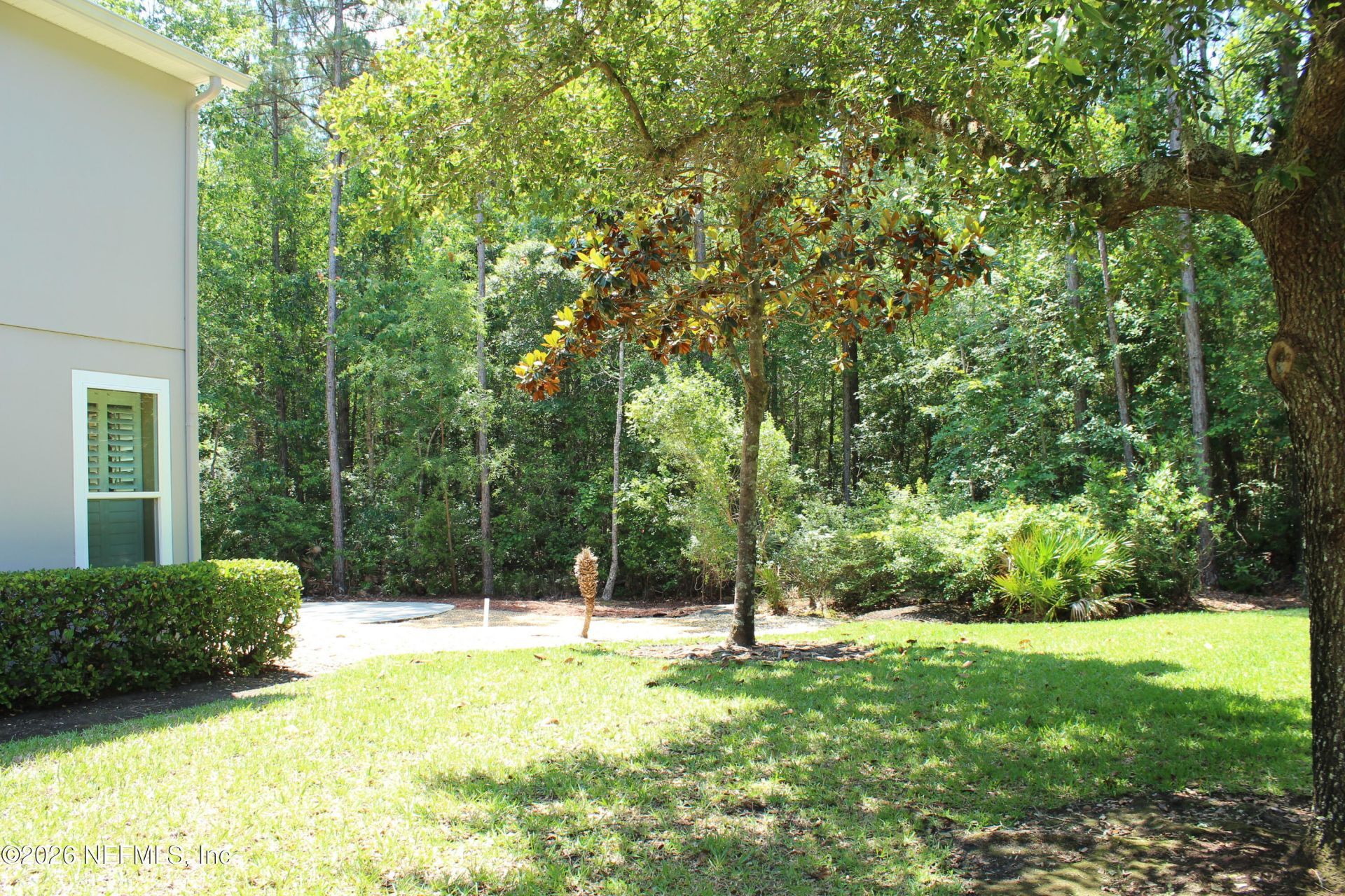 14525 Amelia Cove Drive, Jacksonville, FL 32226 Photo