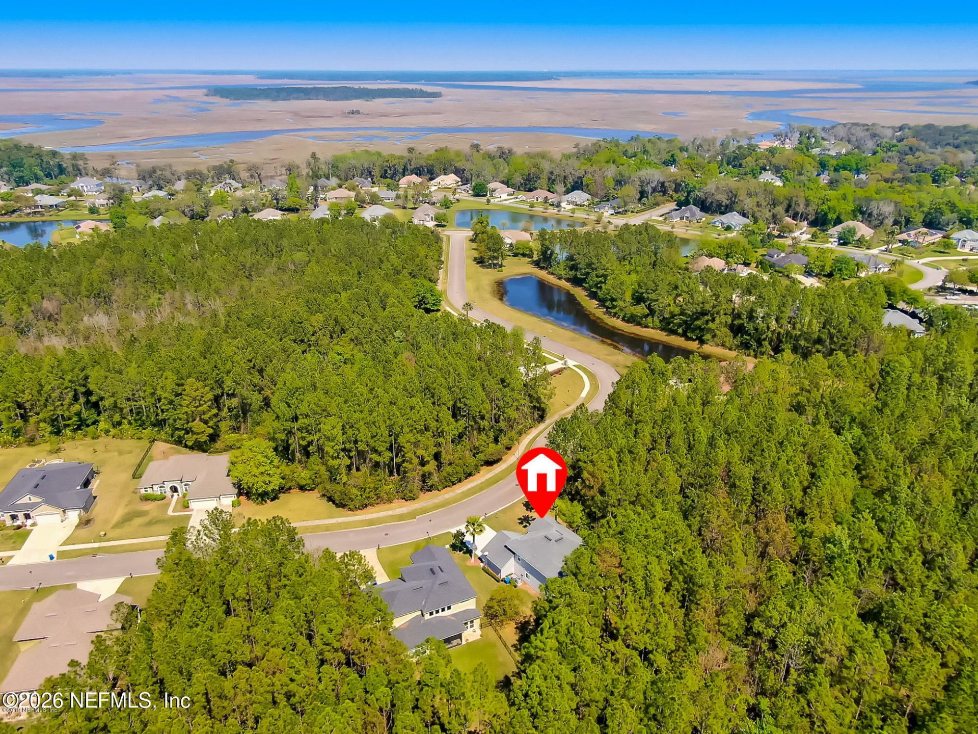 14525 Amelia Cove Drive, Jacksonville, FL 32226 Photo