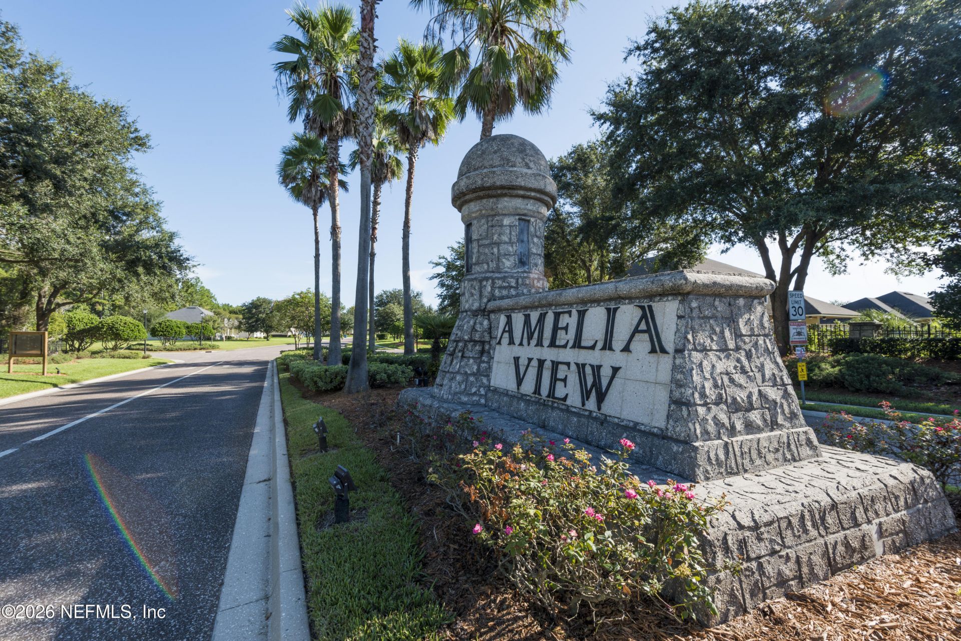 14525 Amelia Cove Drive, Jacksonville, FL 32226 Photo