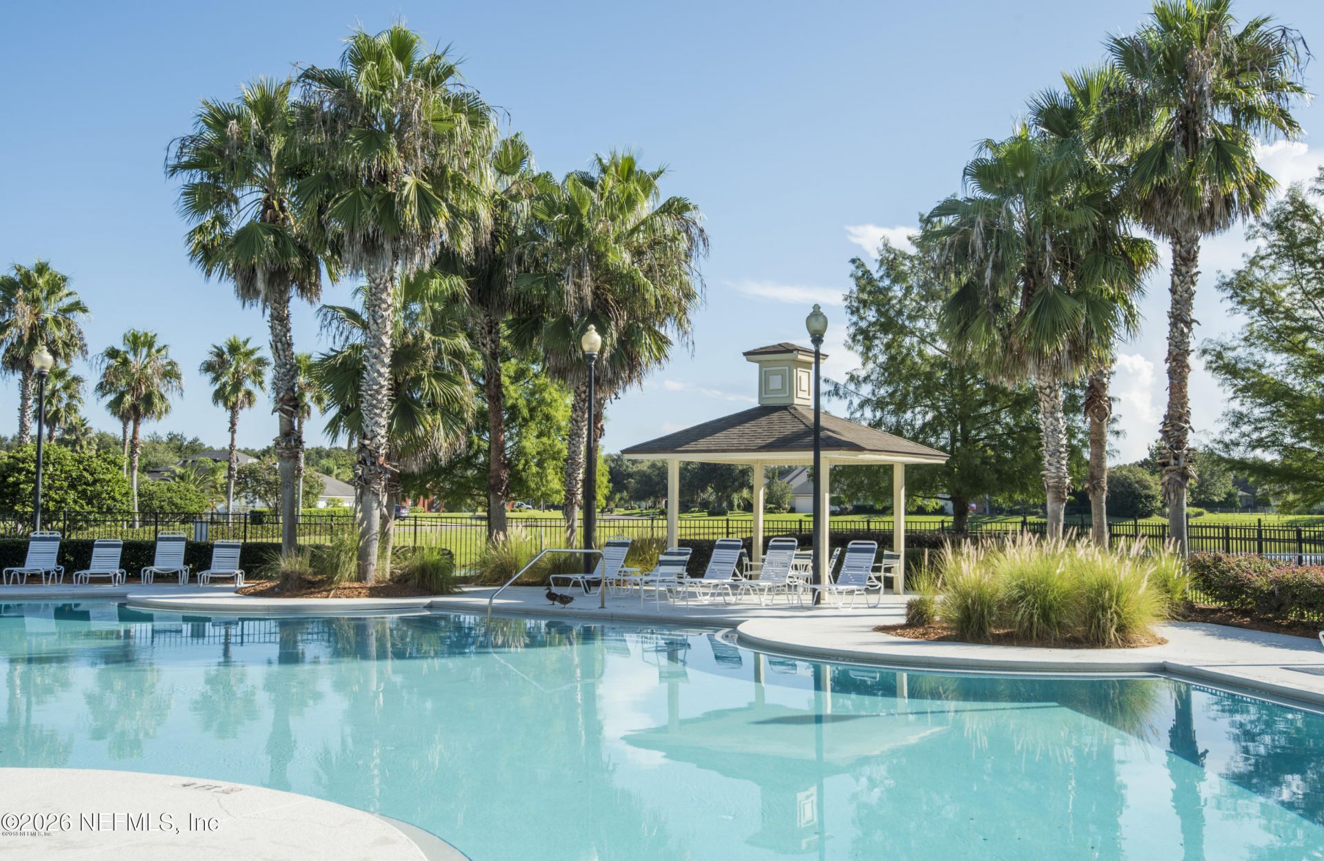 14525 Amelia Cove Drive, Jacksonville, FL 32226 Photo