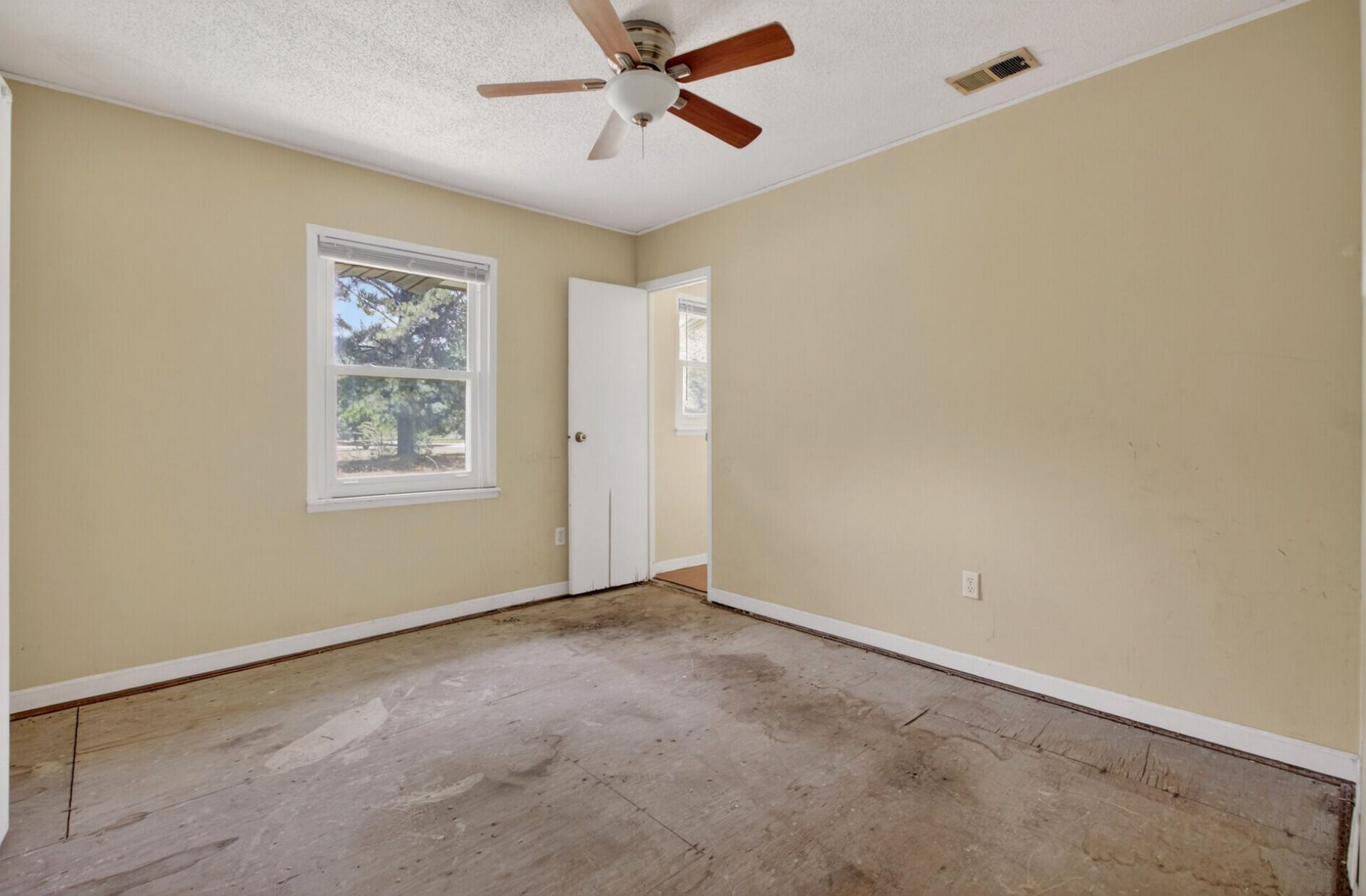 102 Montegue Street Photo 24