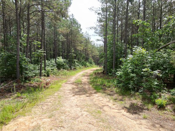 105 Alfred Lane, Hohenwald, TN 38462