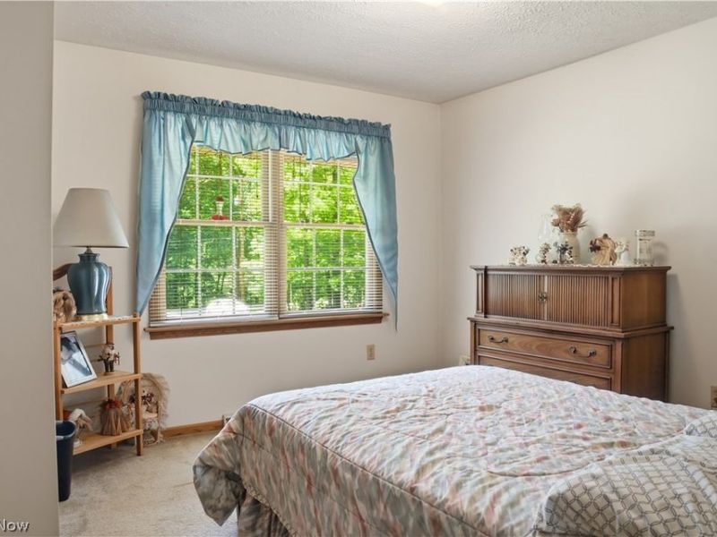 48266 Dyke Road, Negley, OH 44441 Photo 9