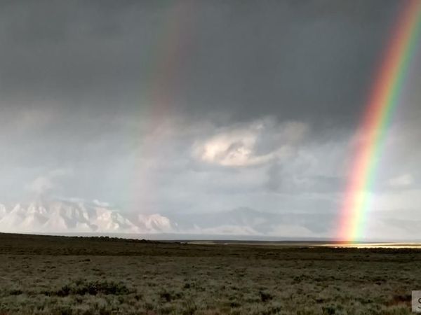 1981 Blizzard Mountain Road, ARCO, ID 83213
