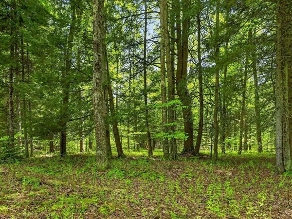 L1.6 Crystal Brook Path, Jefferson, NY 12093