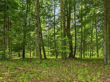 L1.6 Crystal Brook Path, Jefferson, NY 12093