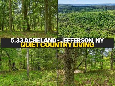 L1.6 Crystal Brook Path, Jefferson, NY 12093