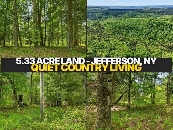 L1.6 Crystal Brook Path, Jefferson, NY 12093