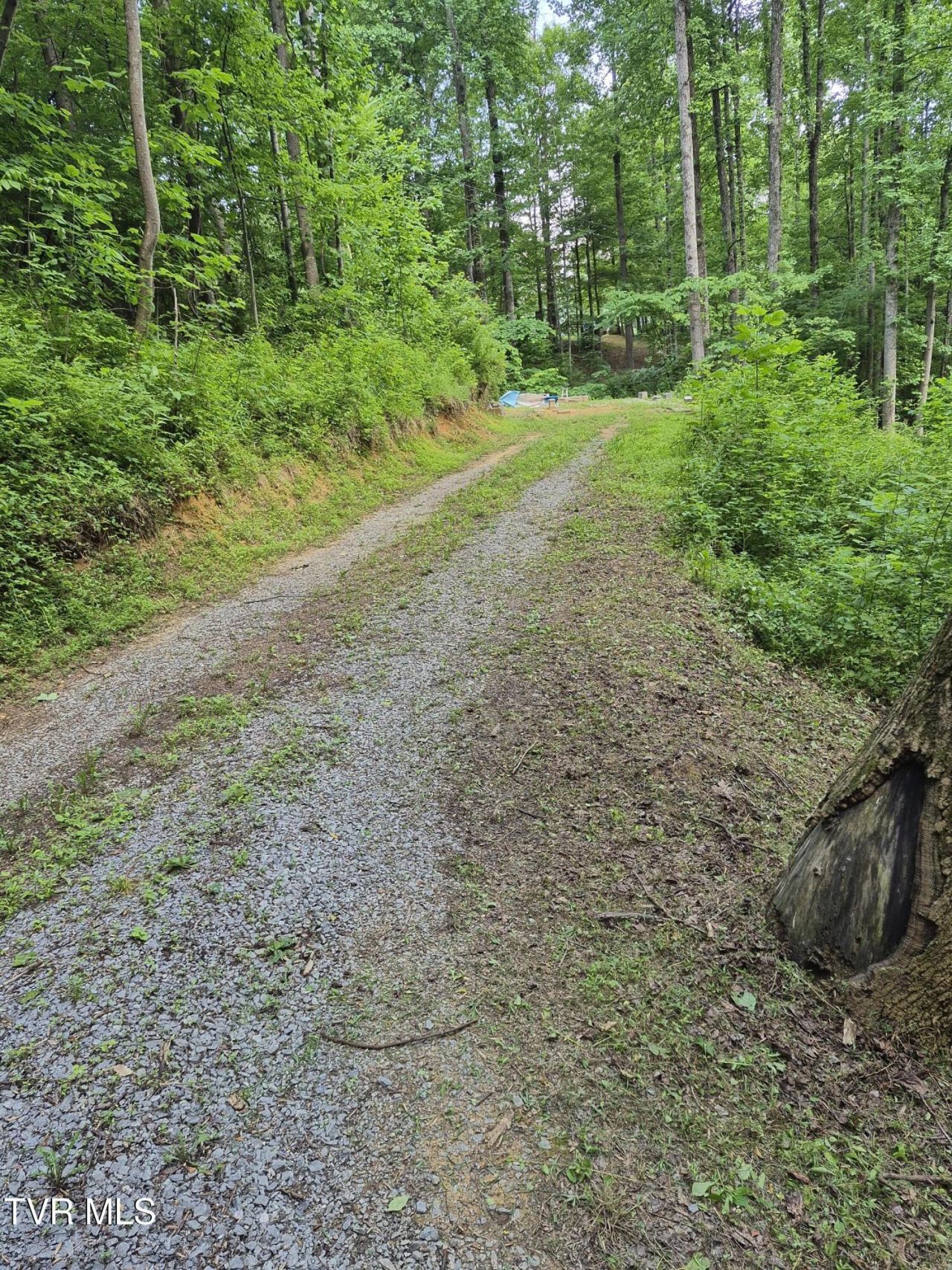 134 Thomas And Webb Road, Johnson City, TN 37604 Main Photo