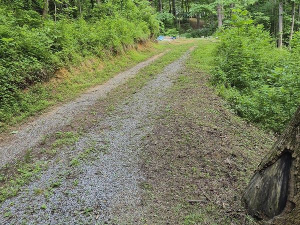134 Thomas And Webb Road, Johnson City, TN 37604