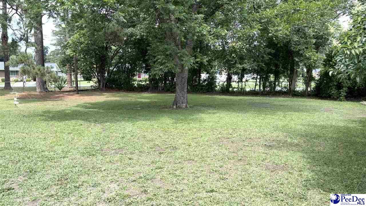 1402 Rollins Avenue Photo 17