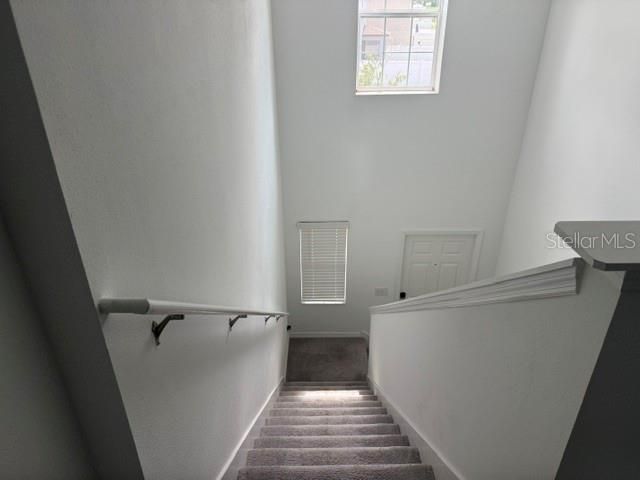 6259 Back Forty Loop, Zephyrhills, FL 33541 Photo
