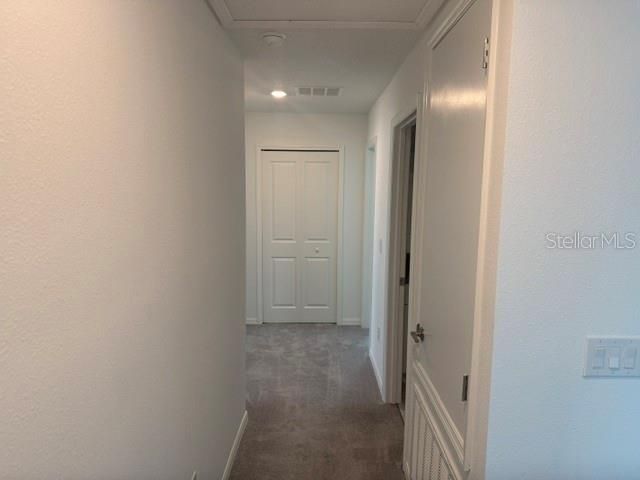 6259 Back Forty Loop, Zephyrhills, FL 33541 Photo