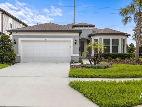 783 LITTLE CLOUD PLACE , VALRICO, FL 33594