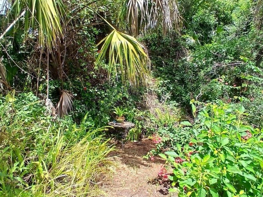 Property Image 58