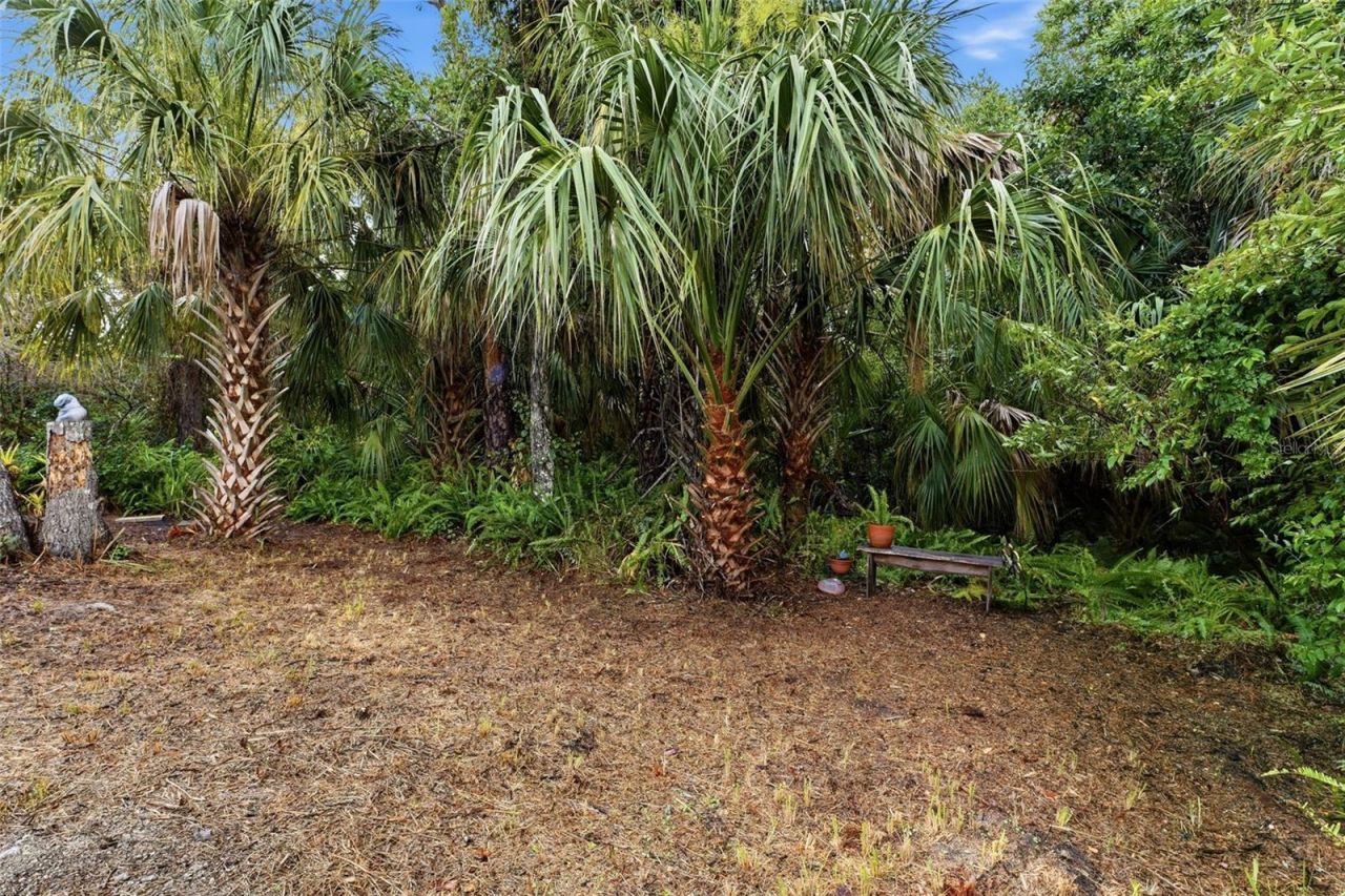 235 147th Street Ne, Bradenton, FL 34212 Photo