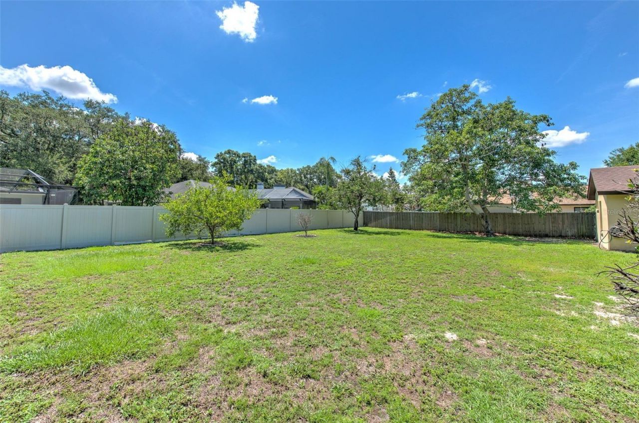 1704 Cape Bend Avenue, Tampa, FL 33613 Photo