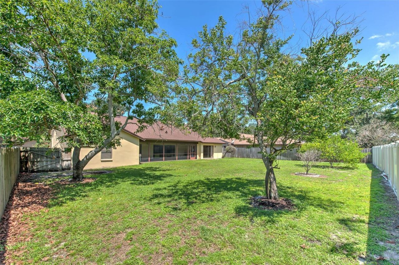 1704 Cape Bend Avenue, Tampa, FL 33613 Photo