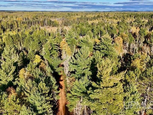 TBD34 Willett Lane, Republic Twp, MI 49879