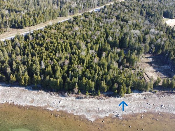 #64 & 65 E Beach Road, Garfield Twp, MI 49762