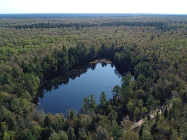 on Wolf Lake Road, Columbus Twp, MI 49868