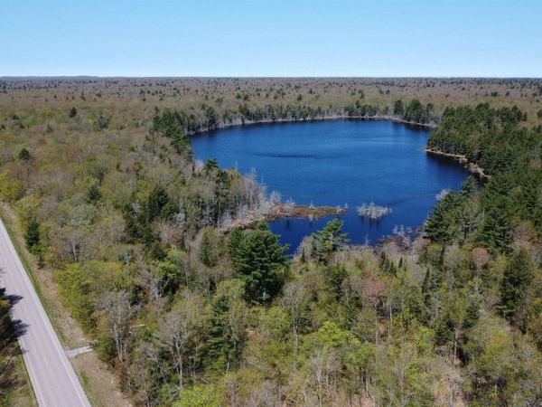 off Adams Trail Road, Burt Twp, MI 49884