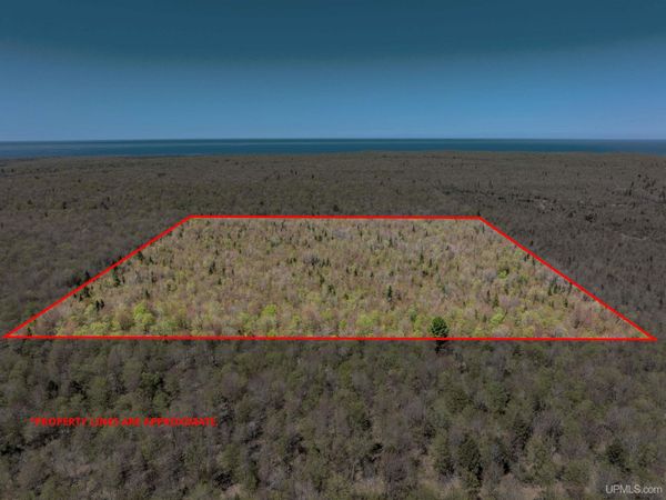 TBD H58 Road Highway, Burt Twp, MI 49839