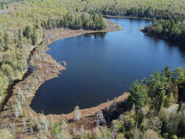 on Tahquamenon Truck Trail Road, Columbus Twp, MI 49868
