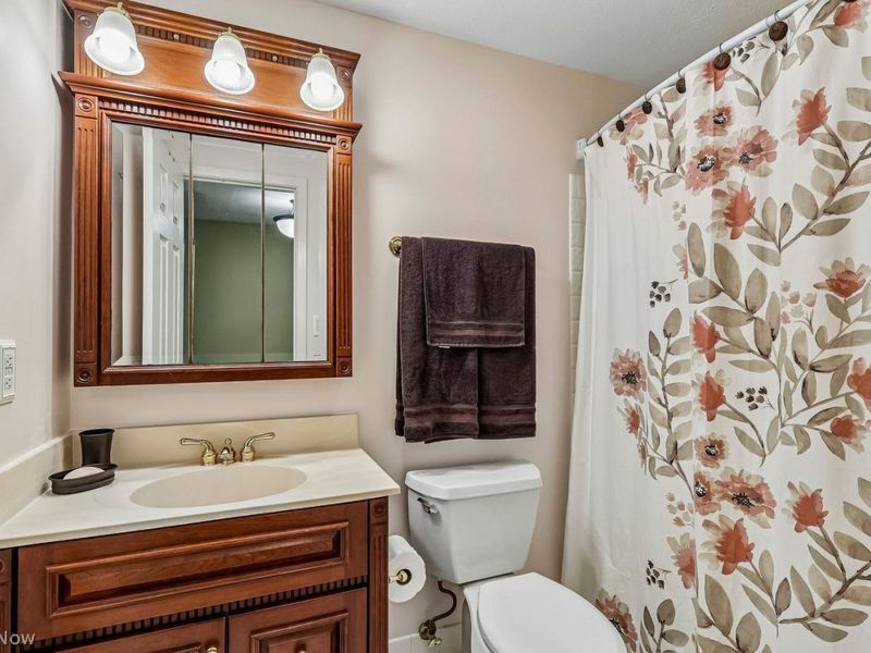 8628 Cedar Road, Chesterland, OH 44026 Photo 29